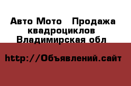 Авто Мото - Продажа квадроциклов. Владимирская обл.